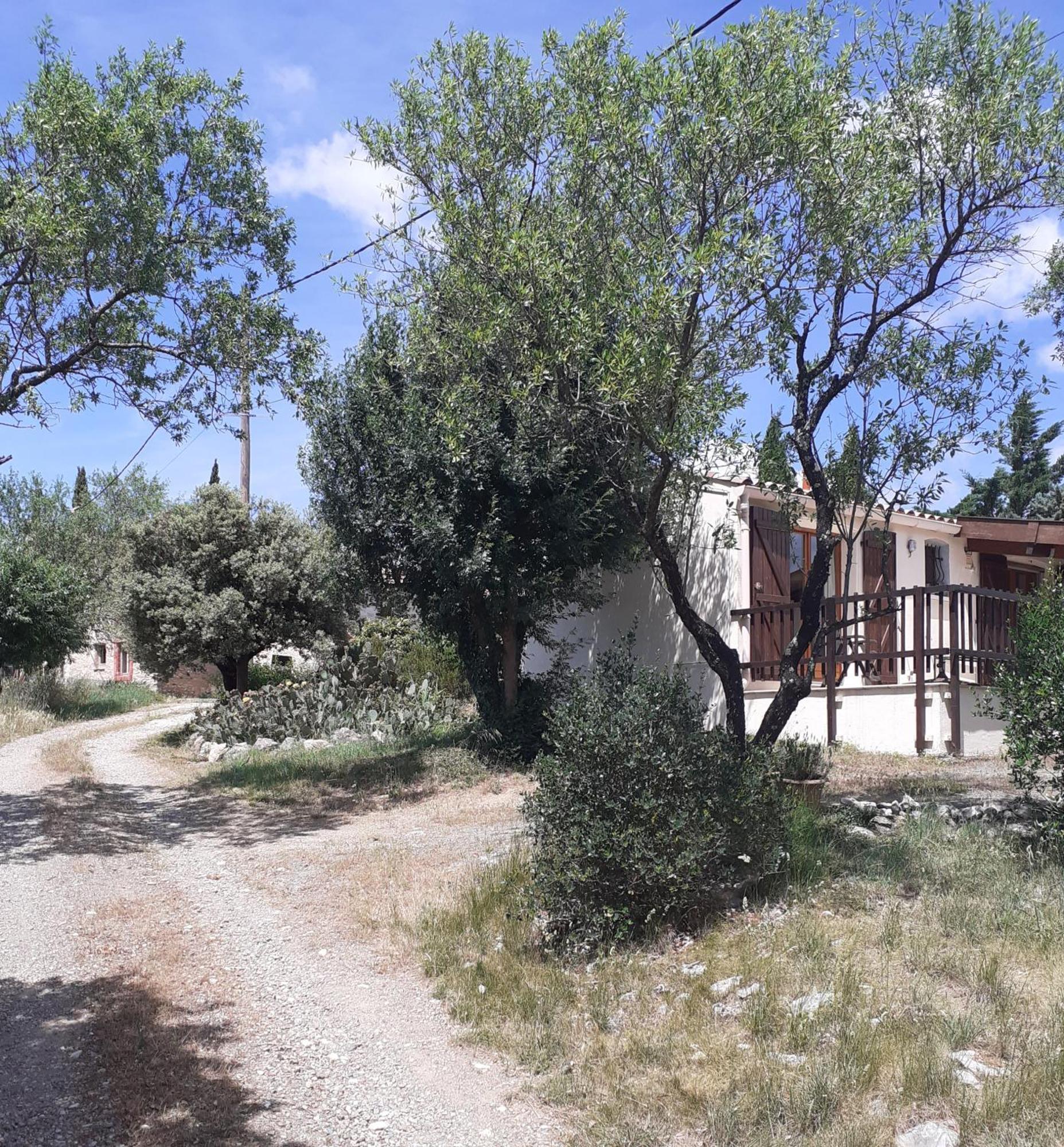 Tiny House Belleraze Villa Saint-Jean-de-Minervois Dış mekan fotoğraf